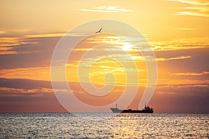 Morning sunrise over sea and flying seagull