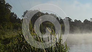 Morning sunrise reflection mist fog rise flow river water