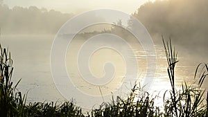 Morning sunrise reflection misty fog rise flow river water