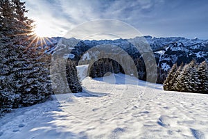 Cold morning sunshine in snowy Alps