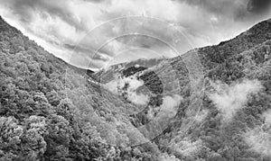 Morning in Tarcu Mountains