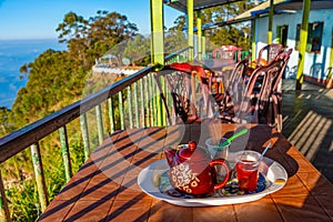 Morning tea at Lipton's Seat viewpoint photo