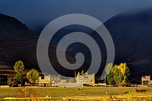 Morning of tibet altiplano