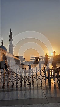 Morning time at nabawi moustique