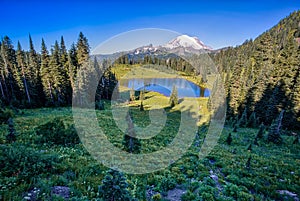 Morning on Tipsoo Lake, Mt Rainier National Park, Washington