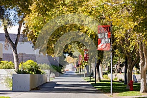 Morning view of the garden of UNLV