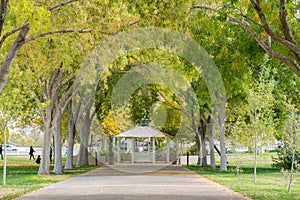 Morning view of the Kiosk in Floyd Lamb Park