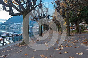 Morning view of promenade in Lugano city, with trees in autumn colors
