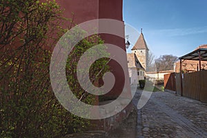 Morning view of the streets of Sighisoara with the Butcher`s tower in sight