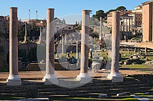 Morning view to Roman Forum. Ancient ruins and columns. Rome, Italy