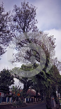 Morning view of the village in central java