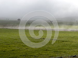 morning views in the fields and dense evaporation texture