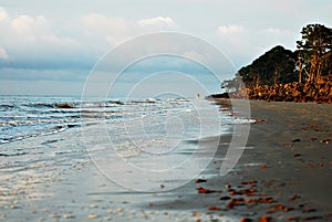 Morning walk on the beach