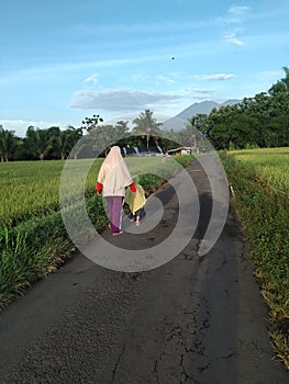 morning walk in the ricefiled with mountain
