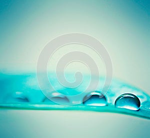 Morning water droplets on a leaf. Closeup shot of water droplets on a leaf.