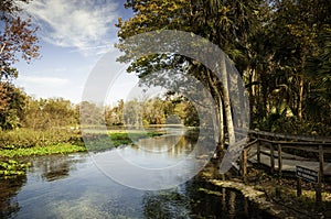 Morning at Wekiva Springs, Florida