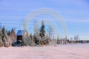 Morning winter landscape. Snow trees and frosty fog on the field.