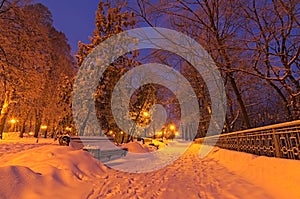 Morning in winter Mariinsky Park. Straight alley in the park with empty benches in the snow and lanterns