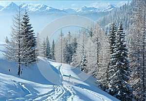 Morning winter misty mountain landscape