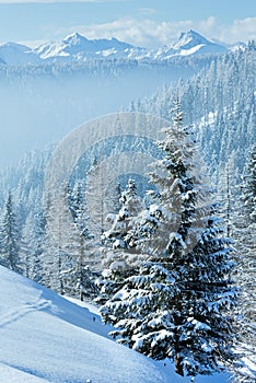 Morning winter misty mountain landscape