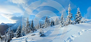 Morning winter mountain landscape (Carpathian, Ukraine).