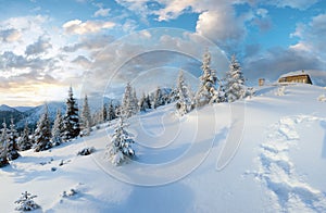Morning winter mountain panorama Carpathian, Ukraine