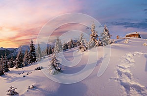 Morning winter mountain panorama (Carpathian, Ukraine