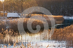 Morning Winter Rural Landscape: An Old Snow-Covered Abandoned House On The Bank Of A River Or Lake, Surrounded By A Beautiful Reed