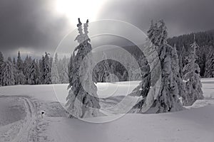 Javorina, Martinske hole, Mala Fatra, Slovakia