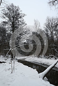Morning in a wintry river landscape