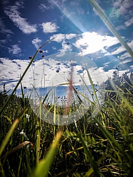 morning without worries