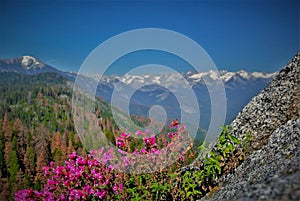 Moro Rock, Sequoia and Kings Canyon National Park, California photo