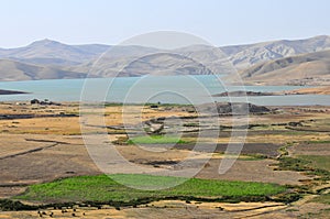 Moroccan Agriculture