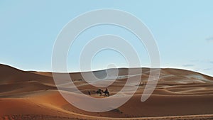Moroccan bedouin with camels silhouettes in sand dunes of Sahara desert. Caravan in Sahara desert travel tourism