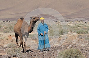 Moroccan Cameldriver