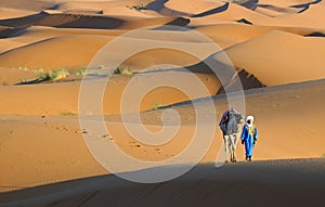 Moroccan Desert 11