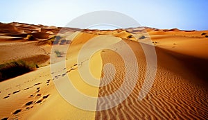 A moroccan desert scenery composed of sand dunes spreading to th photo