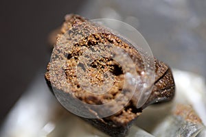 Moroccan fresh cannabis pollen close up filtered hash extraction amazing super dry Nepal hashish high quality smoking big size