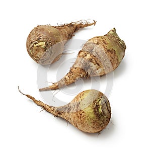 Moroccan fresh swedes