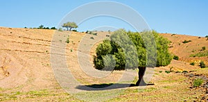 Moroccan landscape and blue sky