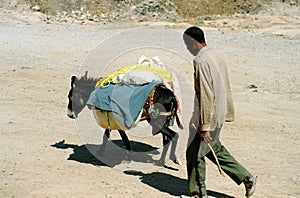Moroccan life, #1 photo
