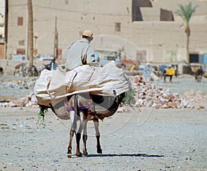 Moroccan life, #2