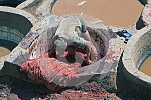Moroccan man in tannery photo