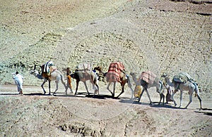 Moroccan pilgrims photo