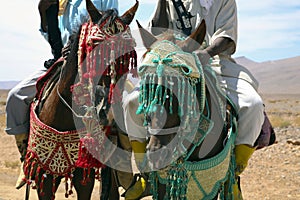 Moroccan riders