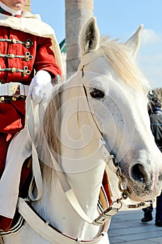Moroccan soldier on the horse