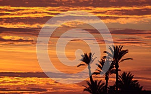 Moroccan sunset - near Marrakesh