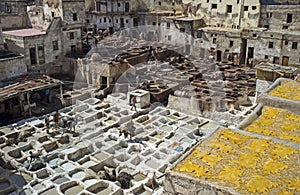 Moroccan Tannery