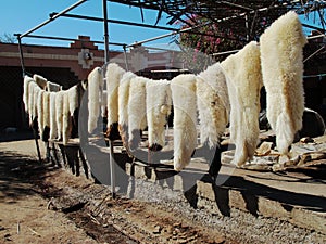 Moroccan tannery