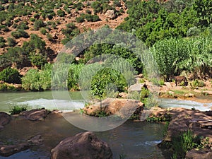 Tropical El-Abid river in Morocco